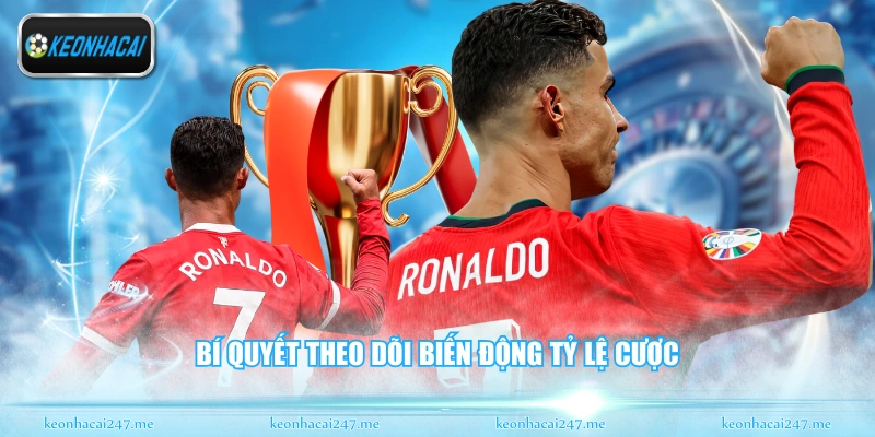 Bí quyết theo dõi biến động tỷ lệ cược