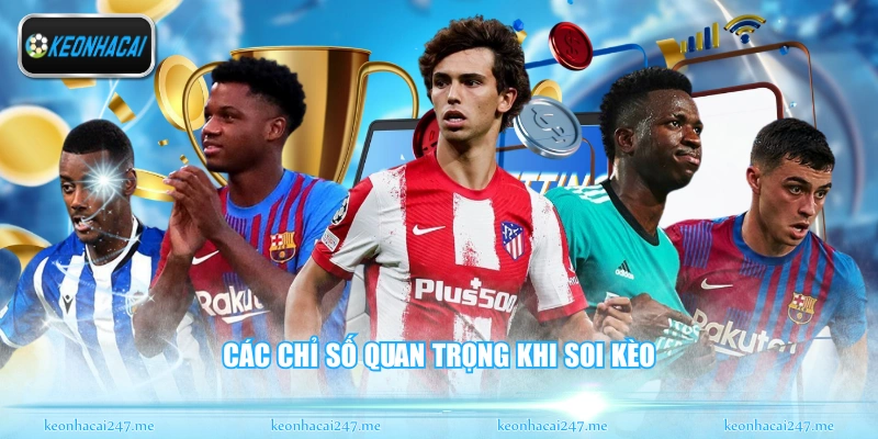 Các chỉ số quan trọng khi soi kèo