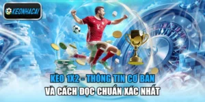 Kèo 1x2 - Thông Tin Cơ Bản Và Cách Đọc Chuẩn Xác Nhất