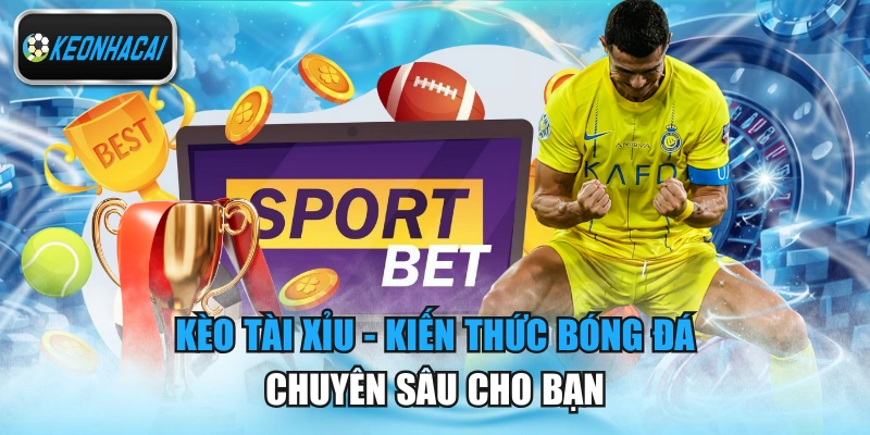 Kèo Tài Xỉu - Kiến Thức Bóng Đá Chuyên Sâu Cho Bạn