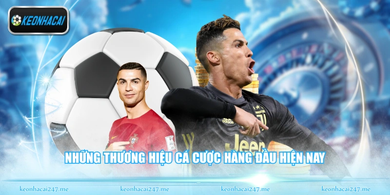 Những thương hiệu cá cược hàng đầu hiện nay