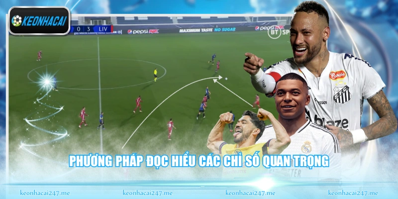 Phương pháp đọc hiểu các chỉ số quan trọng