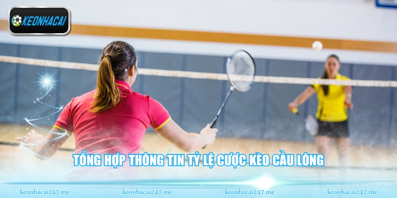 Tổng hợp thông tin tỷ lệ cược kèo cầu lông